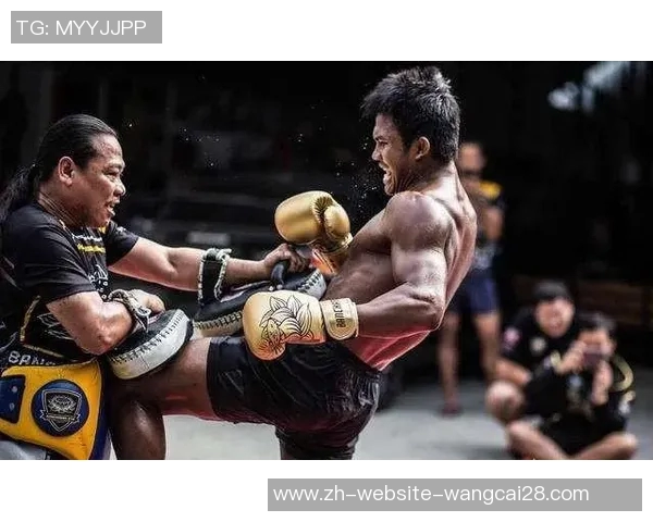 播求与嘴炮的巅峰对决谁将成为拳坛传奇的王者之争